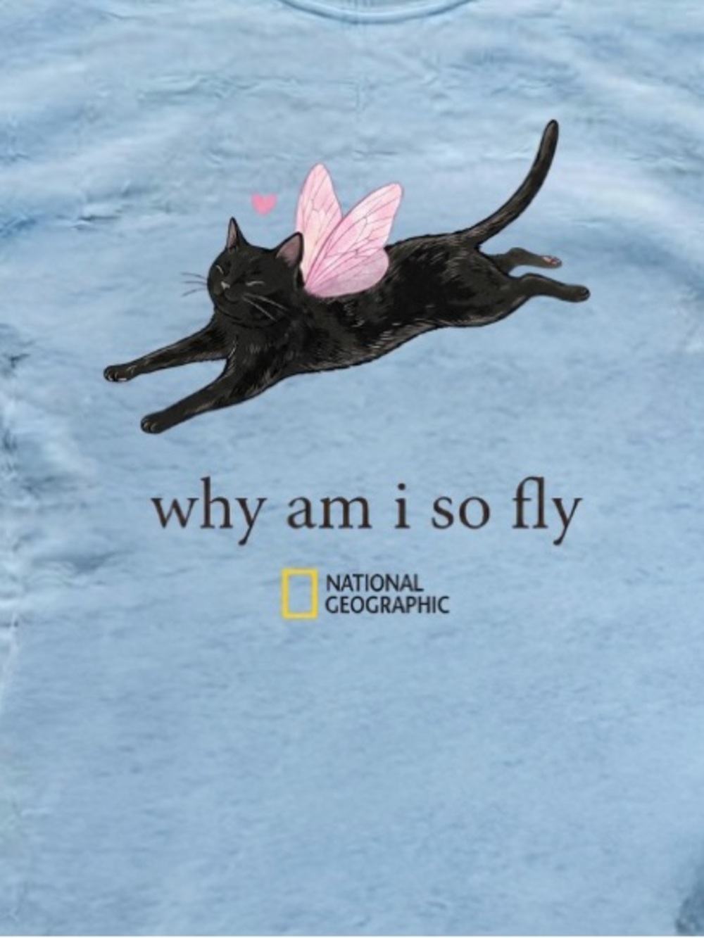 National Geographic 'Why Am I So Fly' Black Cat Tee - Light Blue - Picture 3 of 4